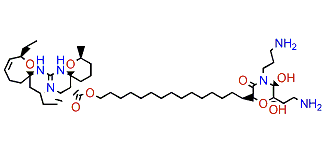 Monanchocidin C